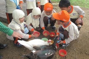 Belajar Berhitung Dengan Kreasi Berbentuk Es Krim – Dunia 