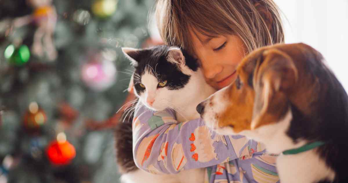 Ajarkan anak kedisiplinan