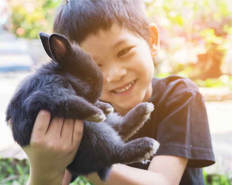 Ajarkan anak kedisiplinan