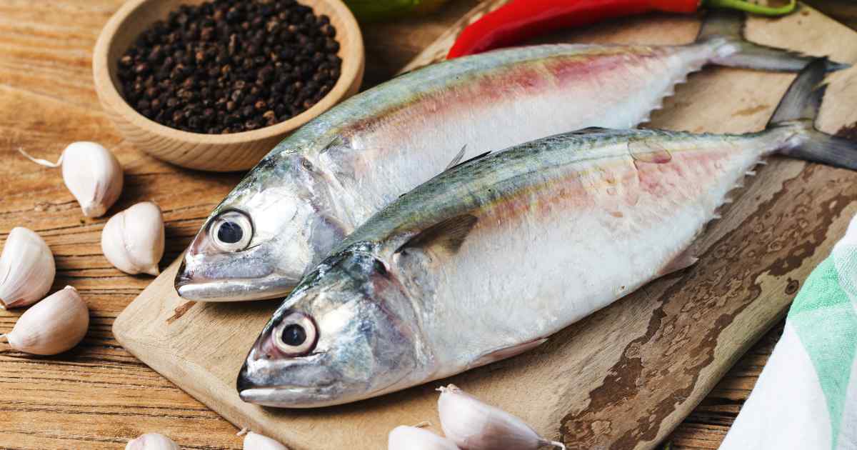 Manfaat ikan kembung