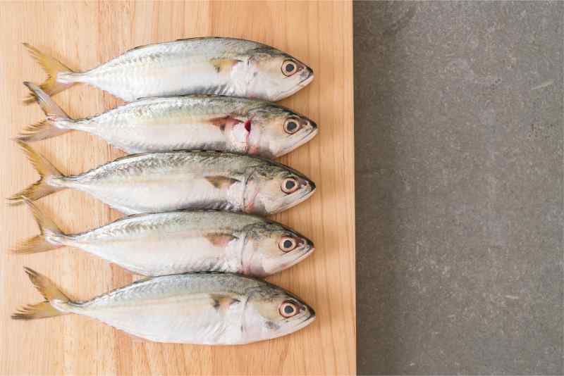 Manfaat ikan kembung
