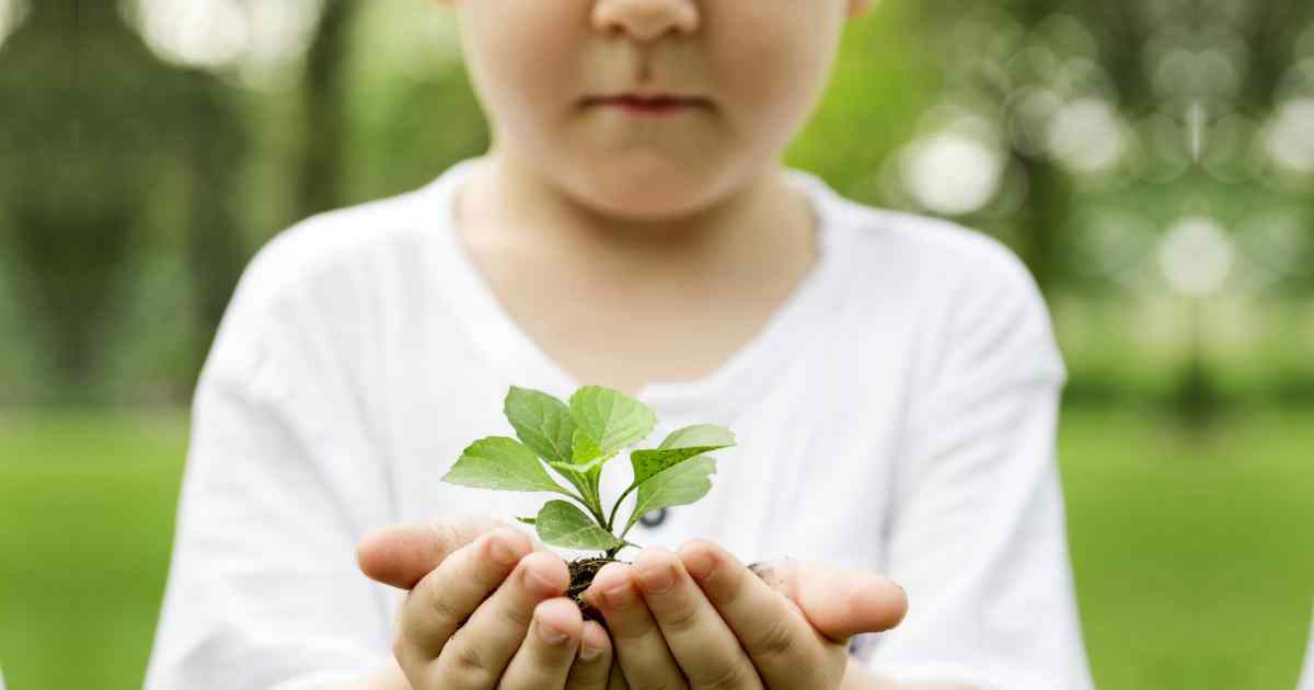 Anak sedang menanam pohon